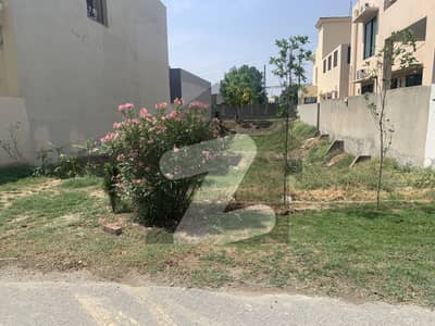 ڈی