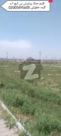 20 