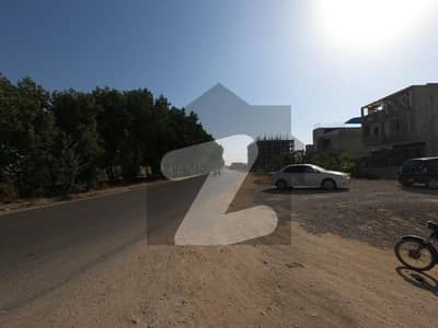 سعد
