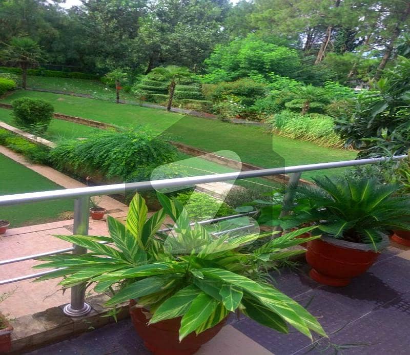 Extra Land Investor Rate Old House Is For SALE Extra Land Investor Rate Old House Is For SALE