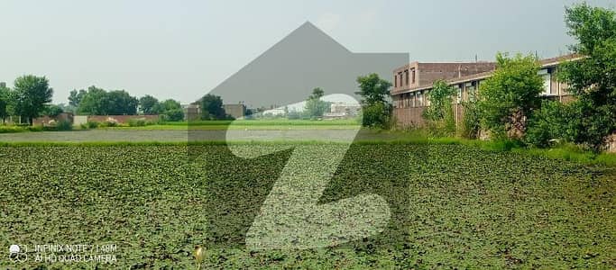 شیخوپورہ