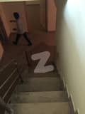 29 