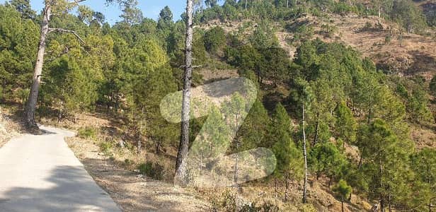 مرگلہ ہِلز-2 ای ۔ 11,اسلام آباد میں 25 کنال رہائشی پلاٹ 8.75 کروڑ میں برائے فروخت۔
