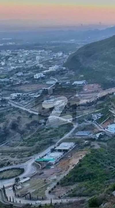 Pair Plot Best Location Plot Front Back Street Open Margalla Hills Facing