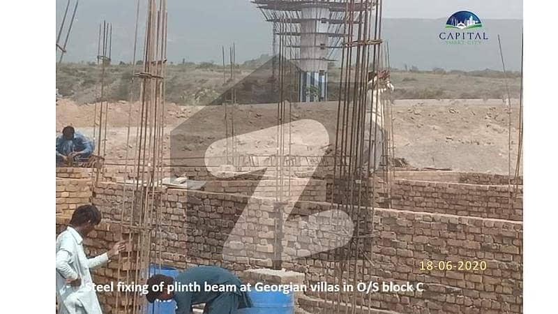 31 
