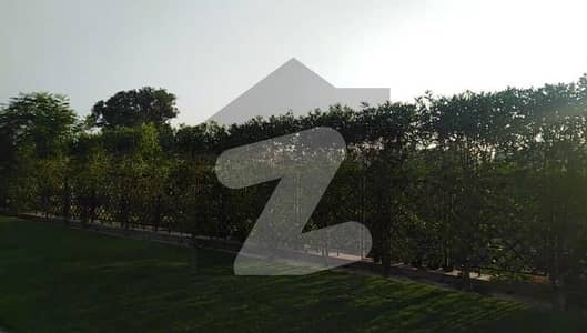 جوبلی