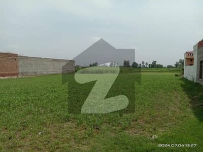 بیدیاں روڈ لاہور میں 8 کنال زرعی زمین 1.3 کروڑ میں برائے فروخت۔