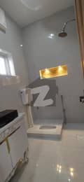 20 