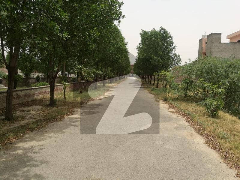 Investors Should sale This Residential Plot Located Ideally In