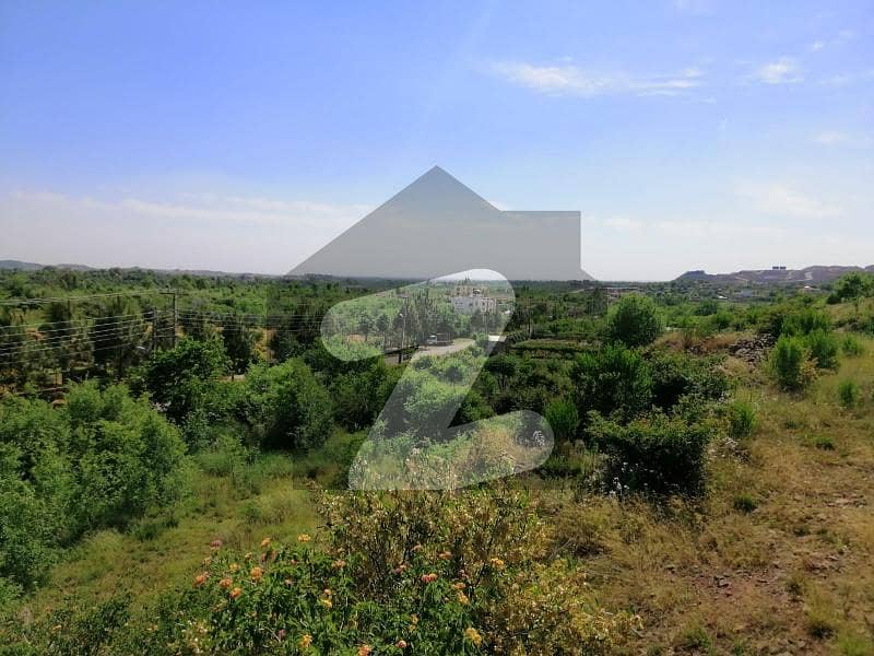 HighlyCoveted 5 Kanal Plot File Is Available In Naval Farms Housing