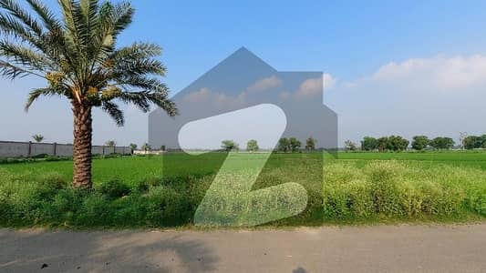 بیدیاں