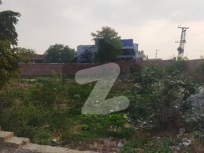 DHA