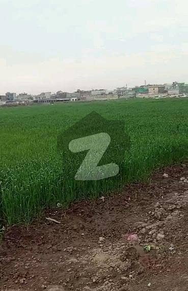 Ideal Residential Plot Is Available For Sale In Tarlai