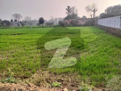 8 Kanal Open Land For Sale In Bedian Road Lahore