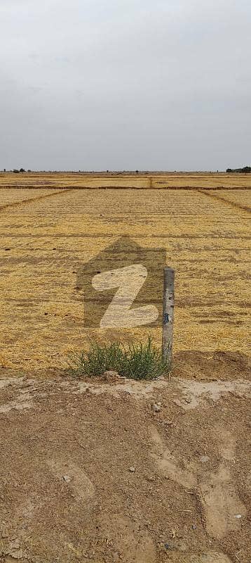 Agricultural Land For sale near Qila Drawar Yazman Bahawalpur