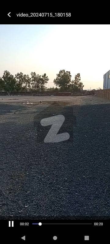 پائن