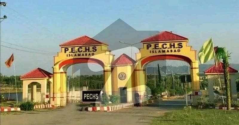 600 squad Yad plot For sale New international airport 600 squad Yad plot For sale New international airport
