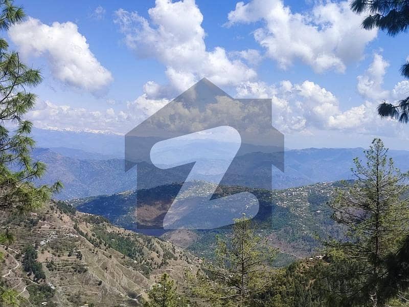 20 
