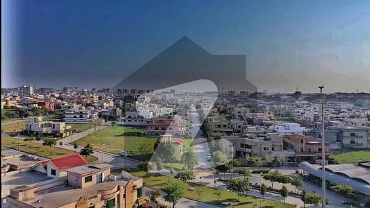 ڈی