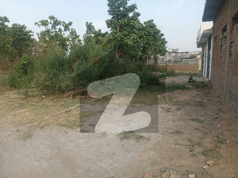 Plot For Sale Plot For Sale