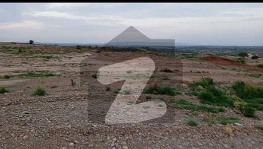 نیلا دللا چکوال میں 150 کنال صنعتی زمین 9.0 کروڑ میں برائے فروخت۔
