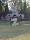 20 