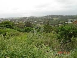 Absolutely Beautiful Level Plot Measuring 30*60 Plot For Sale In G 15 /1