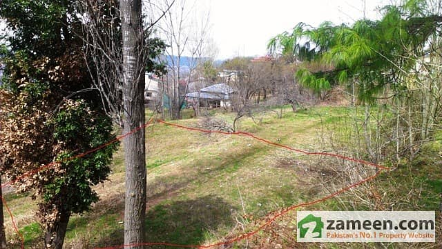 beautiful land in kashmiri bazar murree beautiful land in kashmiri bazar murree