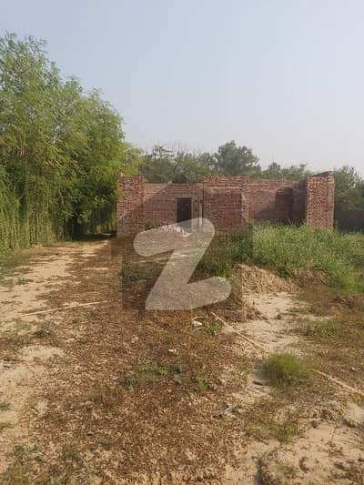 تھیٹر لاہور میں 4 کنال زرعی زمین 3.5 کروڑ میں برائے فروخت۔