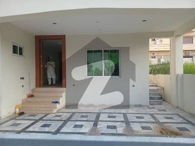 9 Bedroom Basement House For Rent