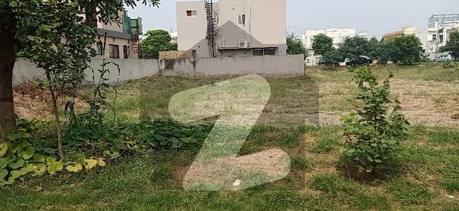 Plot