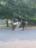 7 7