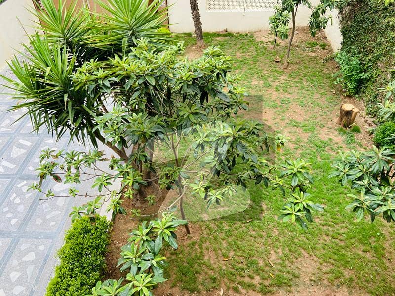FOR RENT Fully Renovated Double Storey House Available F_8/2 FOR RENT Fully Renovated Double Storey House Available F_8/2