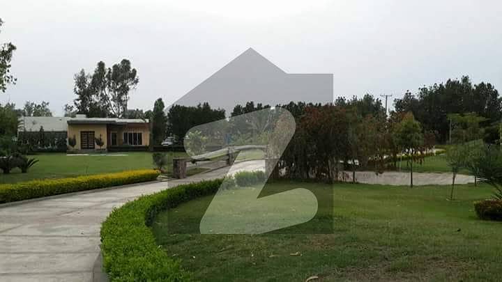 47 