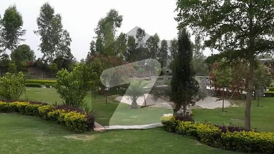 100 FEET FRONT 2 KANAL PLOT FOR SALE 100 FEET FRONT 2 KANAL PLOT FOR SALE