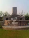 20 