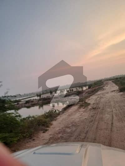 کوٹ رادھا کِشن قصور میں 4800 کنال زرعی زمین 21.0 ارب میں برائے فروخت۔
