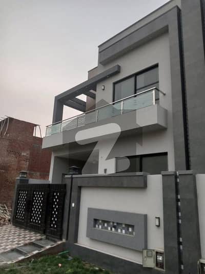 پیراگون