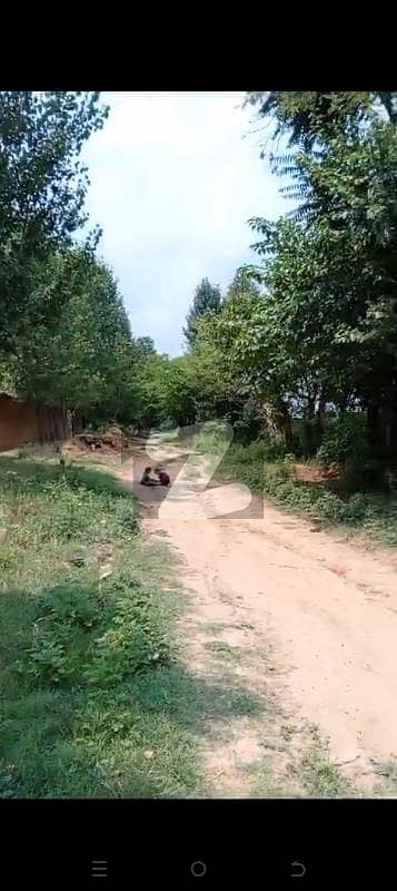 Plot University Chowk Dhodial Close To Hazara Motorway Plot University Chowk Dhodial Close To Hazara Motorway