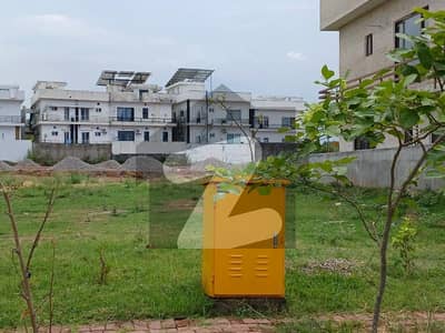1 Kanal Solid Land Possession Able Plot Available For Sale!! Back View Open With Green Patch! 1 Kanal Solid Land Possession Able Plot Available For Sale!! Back View Open With Green Patch!