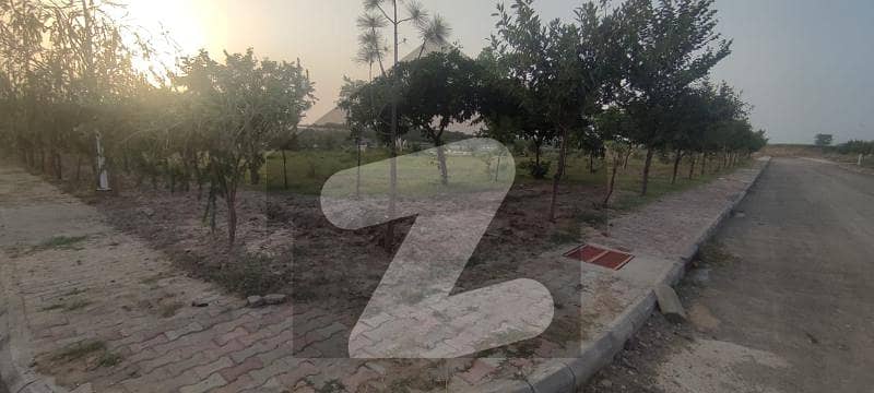 10 Kanal Corner Plot For Sale 10 Kanal Corner Plot For Sale
