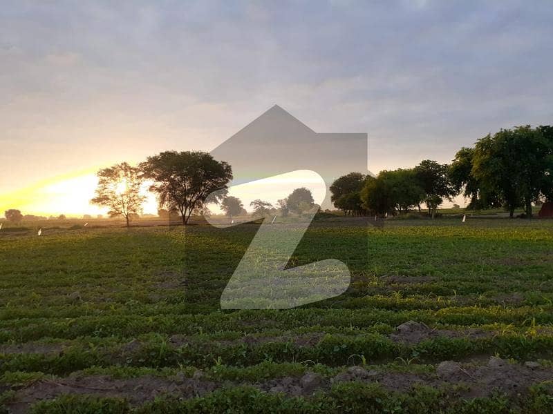 33 Acer Agriculture land for Sale 33 Acer Agriculture land for Sale