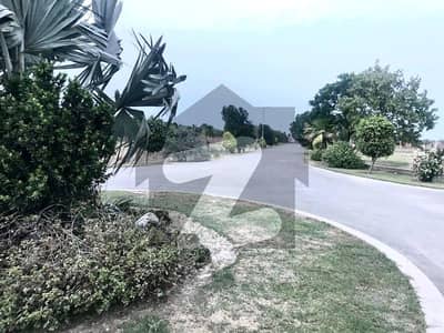 2 Kanal Farm House Land In Barki Hadiyara For Sale