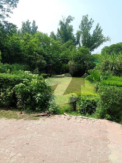 جی