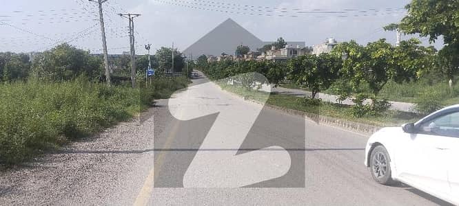 50 Feet Road Ideal Option Plot For Sale