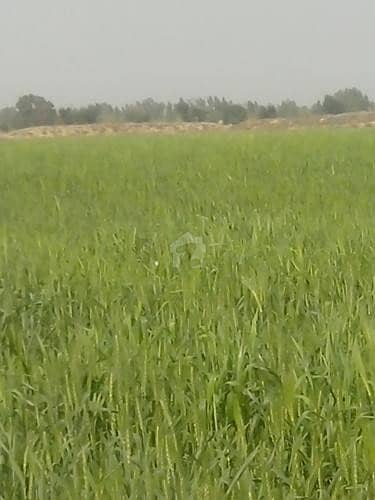 Open Land For Sale In Duniya Pur Near By Multan