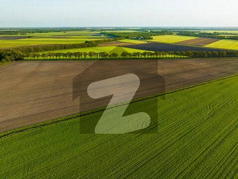 1165 Kanal Agricultural Land Available for sale in Domeli Jhelum 1165 Kanal Agricultural Land Available for sale in Domeli Jhelum
