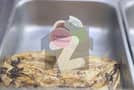 2 