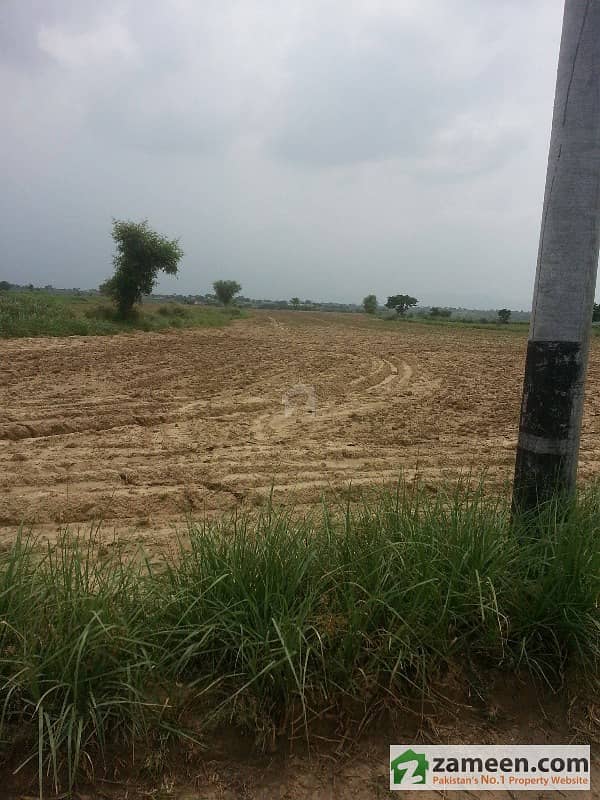 45 Kanal Agriculture Land For Sale