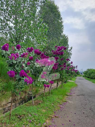 Corner Plot And Near Club House Sector B